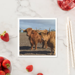 Two Big Brown Highland Cows Photography, Napkin