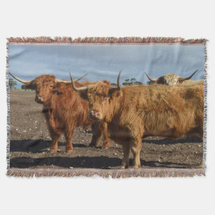 Two Big Brown Highland Cows Photography, Throw Blanket