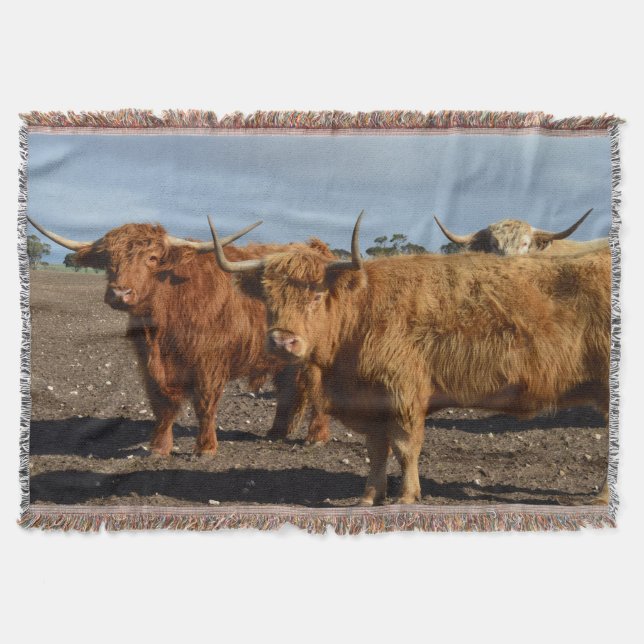 Two Big Brown Highland Cows Photography, Throw Blanket (Front)