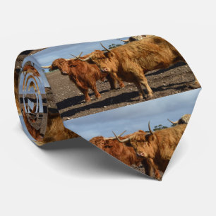 Two Big Brown Highland Cows Photography, Tie