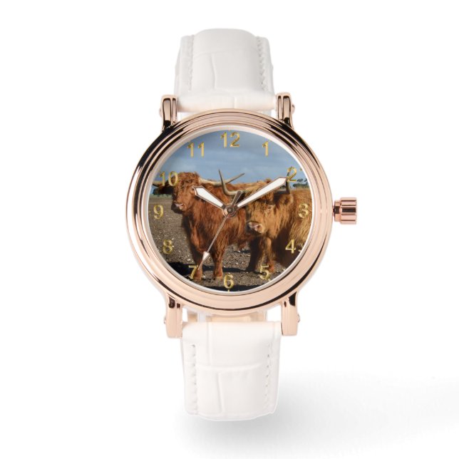 Two Big Brown Highland Cows, Watch (Front)