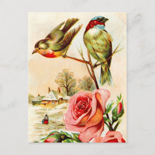 Two Birds and Roses Postcard