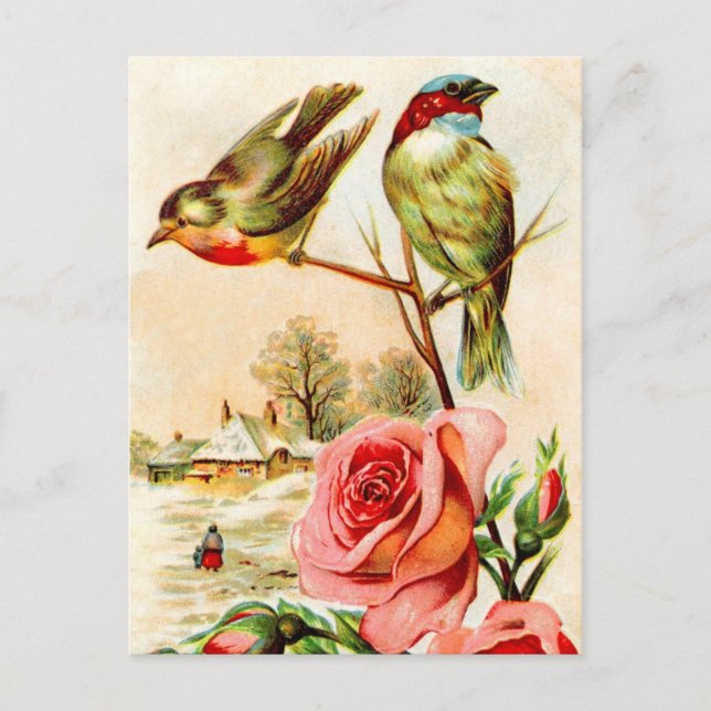 Two Birds and Roses Postcard (Front)