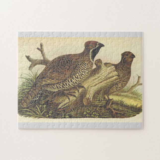 Two Birds Near a Tree Branch Puzzle (Horizontal)