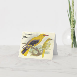 Two Birds on a Branch "Thank You!" Card