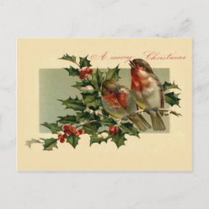 Two birds on a Holly branch Holiday Postcard
