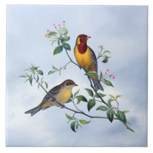 Two birds on flowering tree branch tile