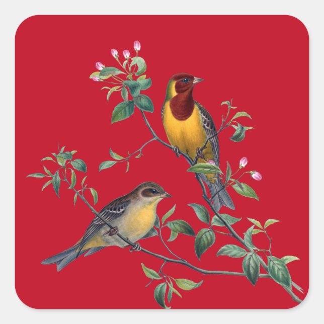 Two Birds on Flowering Tree Branches, Square Sticker (Front)