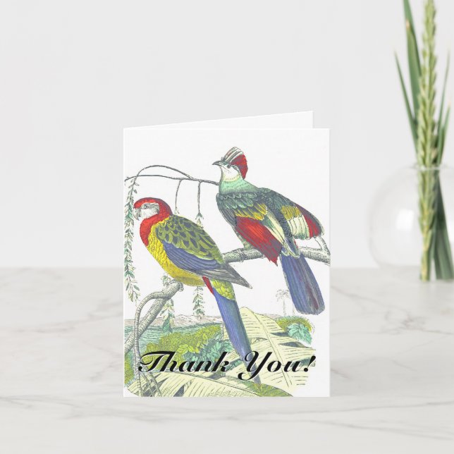 Two Birds Perched on a Branch "Thank You!" Card (Front)