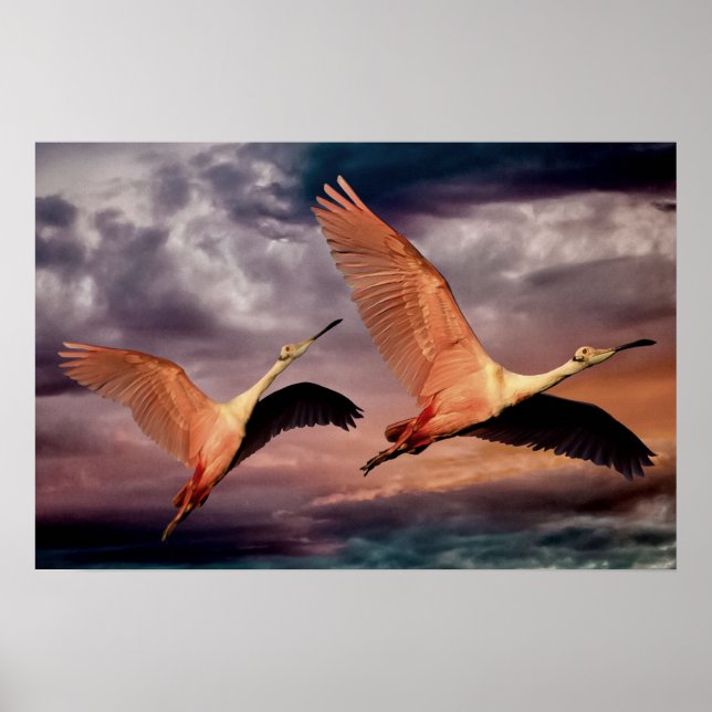 Two Birds Poster (Front)