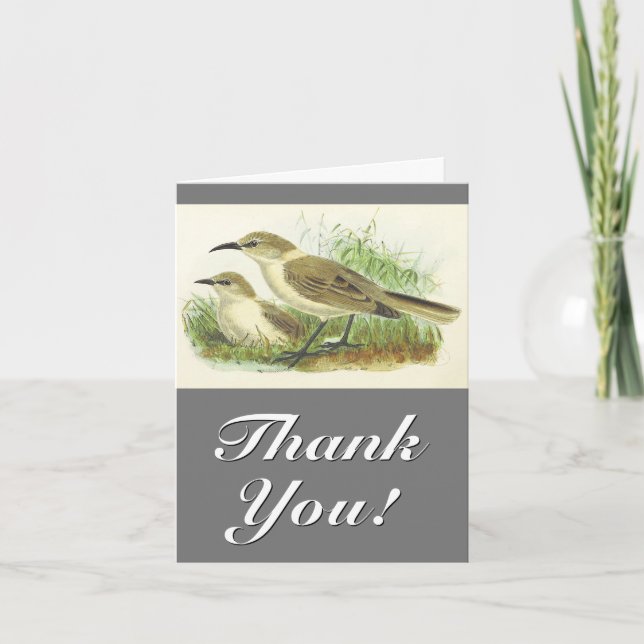 Two Birds, Vintage Look, "Thank You!" Card (Front)