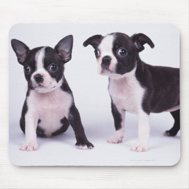 Two black and white puppies mouse mat (Front)
