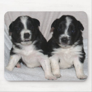 two black and white puppies mouse mat