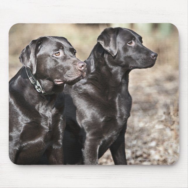 Two Black Labrador retrievers Mouse Mat (Front)