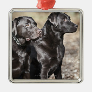 Black Labrador Christmas Tree Decorations & Baubles 