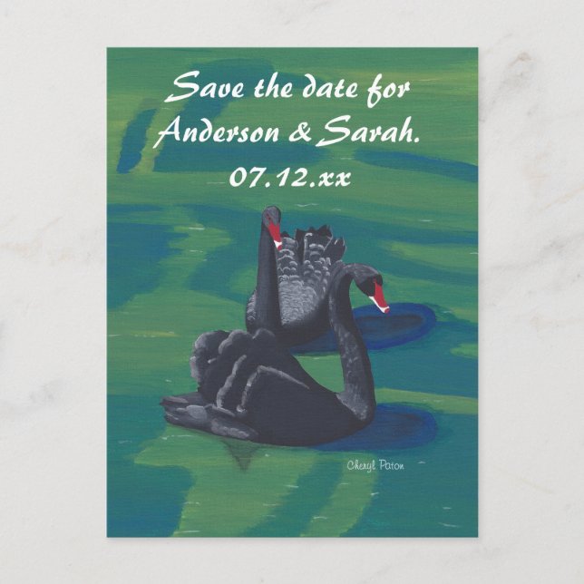 Two Black Swans Swimming Save the Date Postcards (Front)