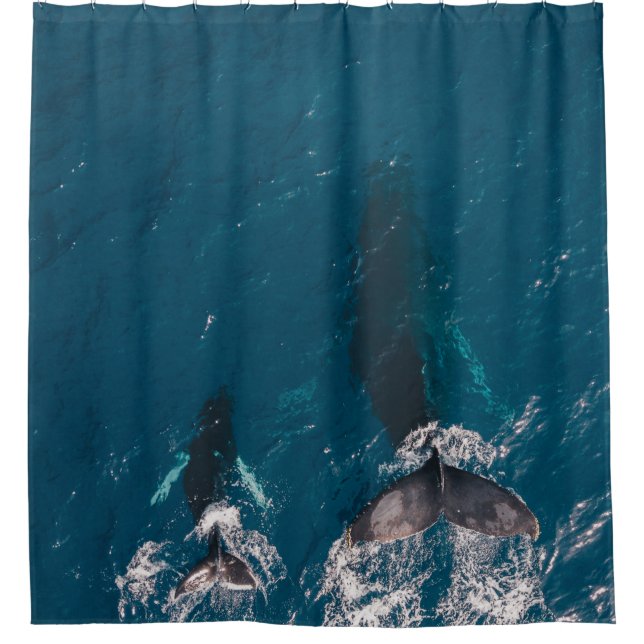 TWO BLACK WHALES SWIMMING IN BODY OF WATER SHOWER CURTAIN (Front)