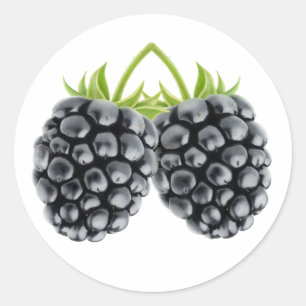 Two blackberries classic round sticker