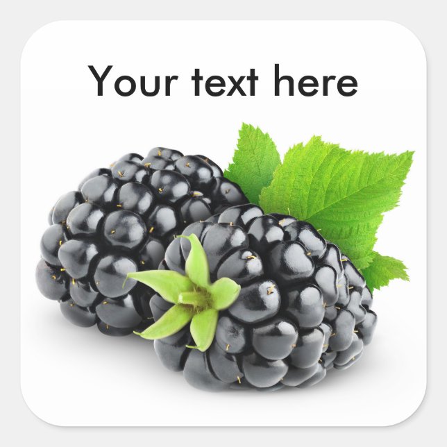Two blackberries square sticker (Front)