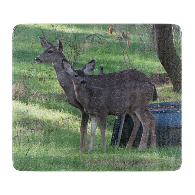 Two Blacktail Deer Glass Cutting Board (Front)