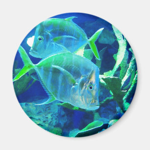Two Blue and Turquoise Tropical Fish Magnet