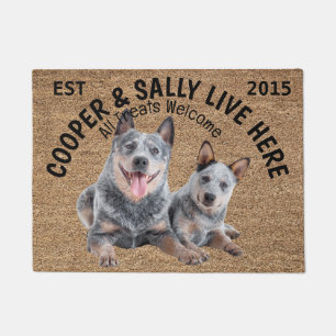 Two Blue Heelers Personalised Dog Lover   Doormat
