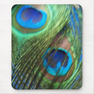 Two Blue Peacock Feathers Mousepad