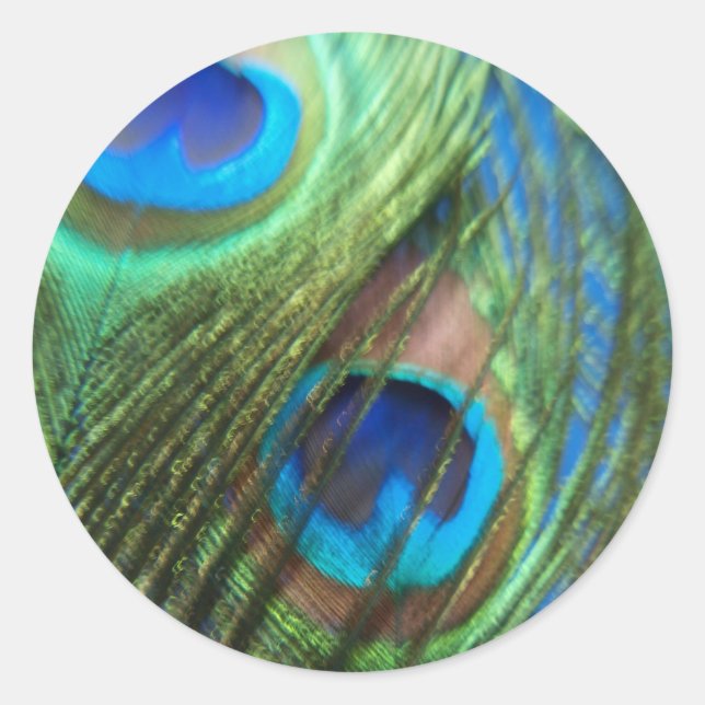 Two Blue Peacock Feathers Stickers (Front)