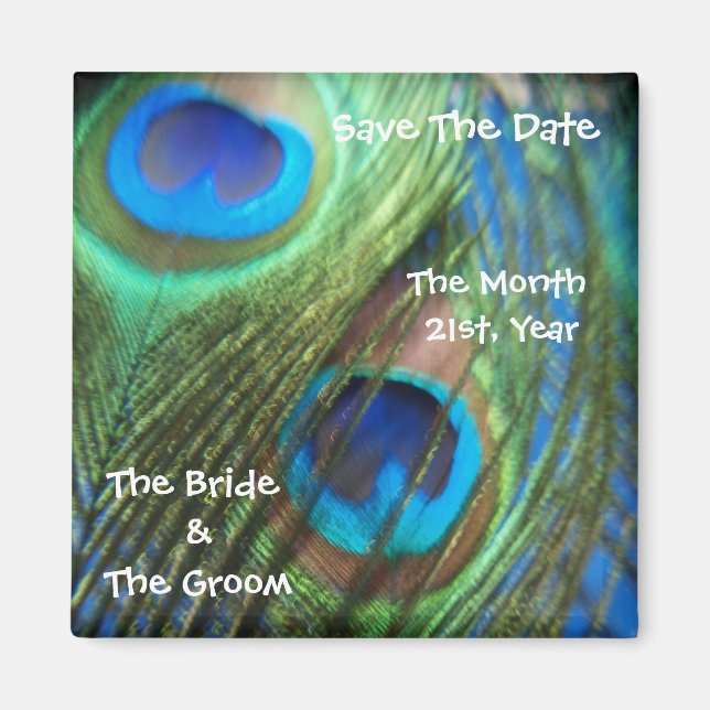 Two Blue Peacock Feathers Wedding Save the Date Magnet (Front)