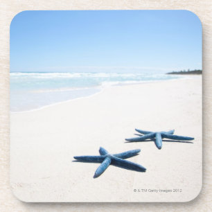 Two blue starfish at water's edge on tropical 2 coaster