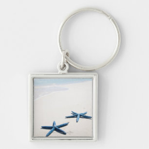 Two blue starfish at water's edge on tropical key ring