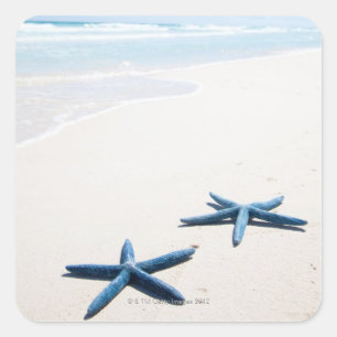 Two blue starfish at water's edge on tropical square sticker