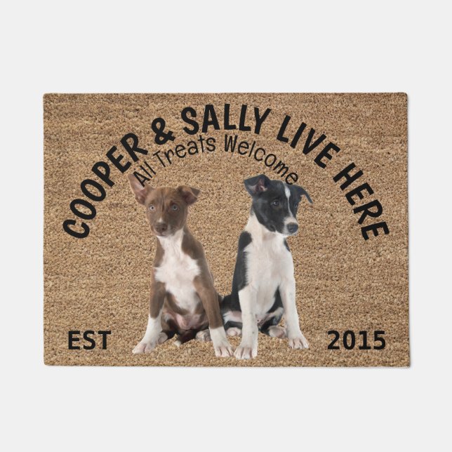 Two Border Collies Personalised Dog Doormat (Front)