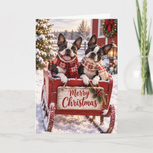 Two Boston Terriers Christmas Card