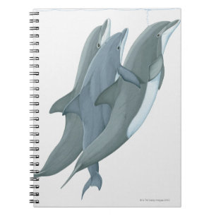Two Bottlenosed Dolphins Notebook