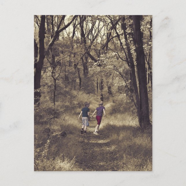 Two Boys On a Forest Path Postcard (Front)