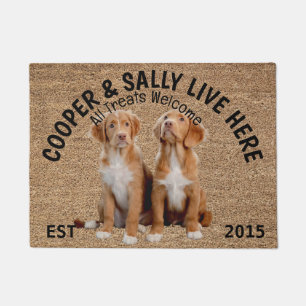 Two Brittanys Personalised Dog Lover   Doormat