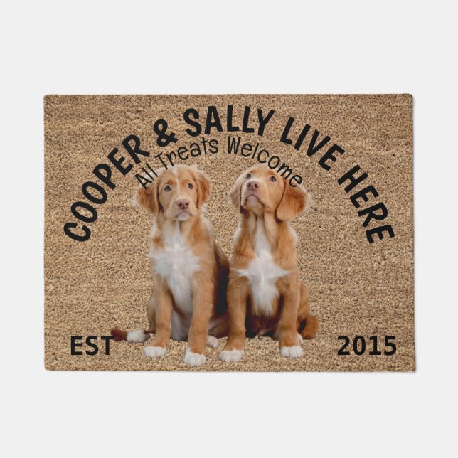 Two Brittanys Personalised Dog Lover   Doormat (Front)