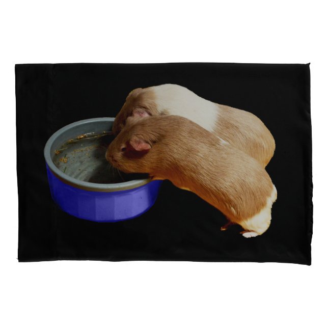 Two Brown And White Guinea Pigs,   Pillowcase (Front)