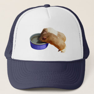 Two Brown And White Guinea Pigs, Truckers Hat