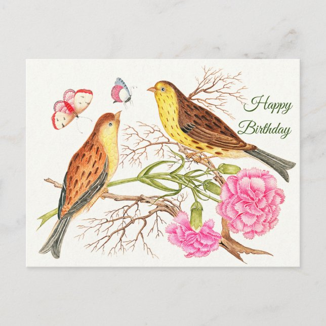 Two brown and yellow birds on branches, Birthday Postcard (Front)