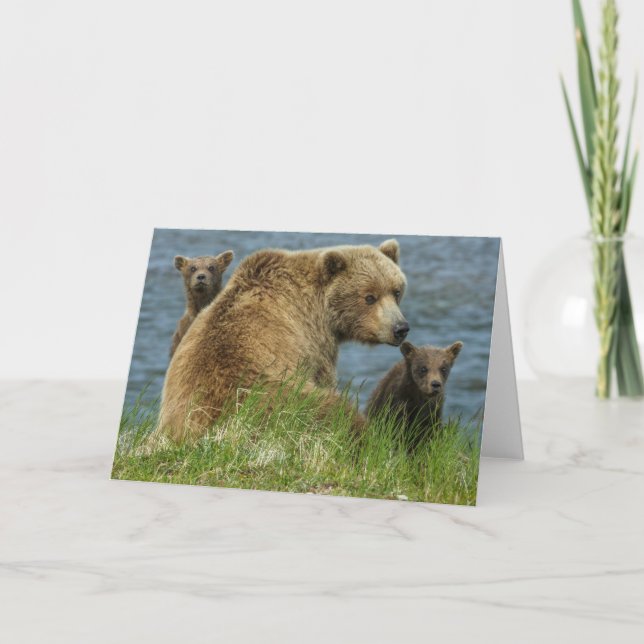 Two Brown Bear Cubs with Mother by the Water Card (Front)
