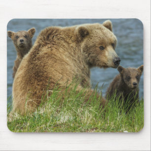Two Brown Bear Cubs with Mother by the Water Mouse Mat