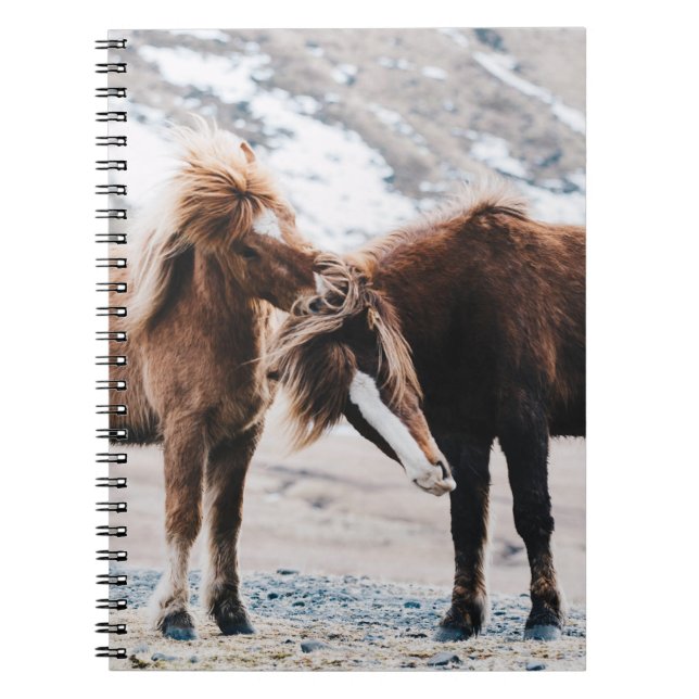 TWO BROWN HORSES ON FIELD NOTEBOOK (Front)