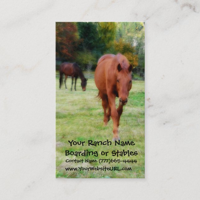 Two Brown Horses on Pasture Business Card (Front)