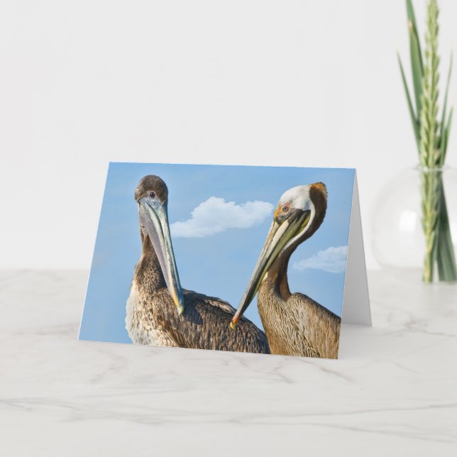 Two Brown Pelicans Note or Greeting Card (Front)