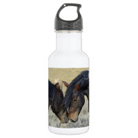 Two Brown Wild Horses Nuzzling