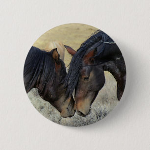 Two Brown Wild Horses Nuzzling 6 Cm Round Badge