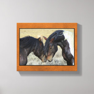 Two Brown Wild Horses Nuzzling Canvas Print