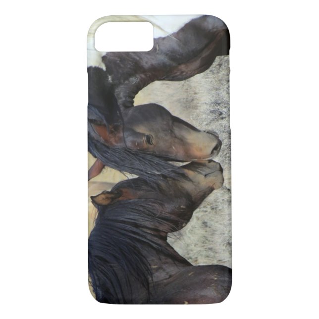 Two Brown Wild Horses Nuzzling Case-Mate iPhone Case (Back)